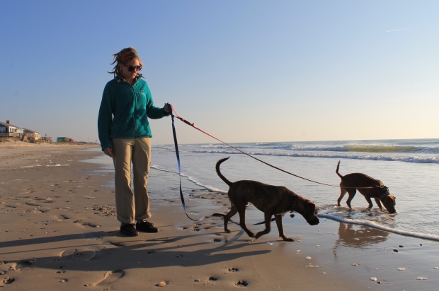 Jen walking the dogs on the beach.